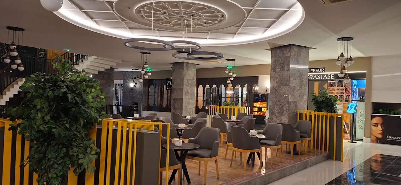 Gastro Seashell Vega