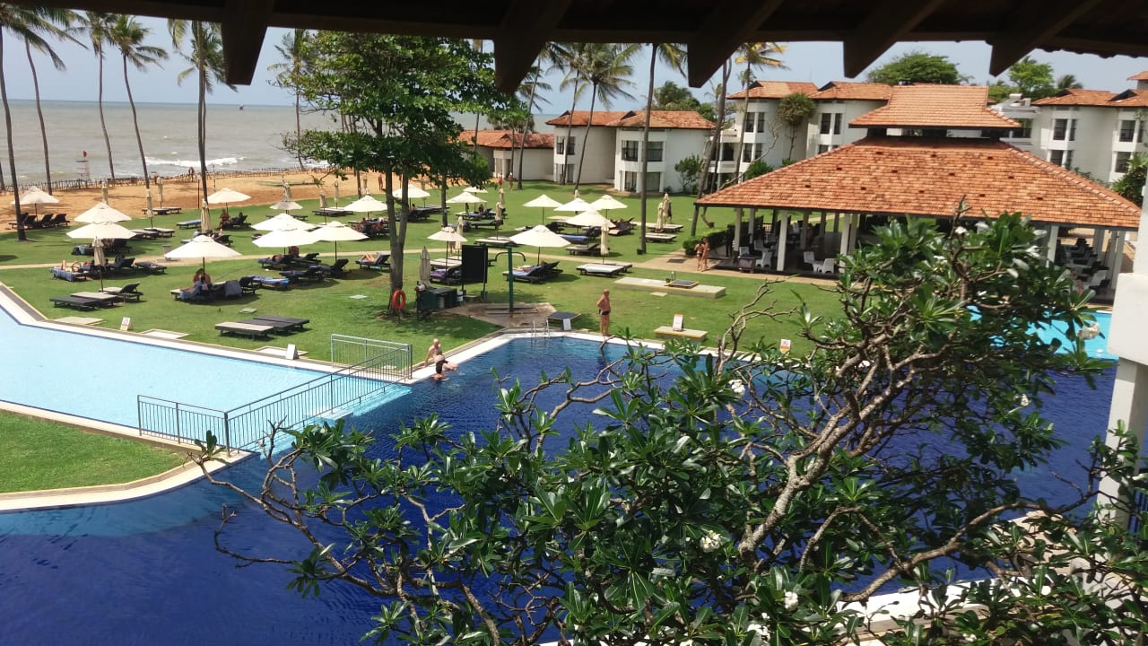 Pool Club Hotel Dolphin