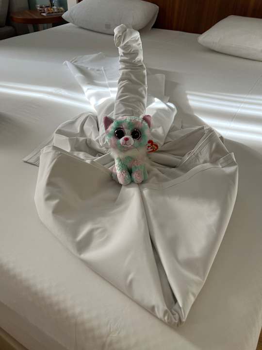 Zimmer Seashell Vega