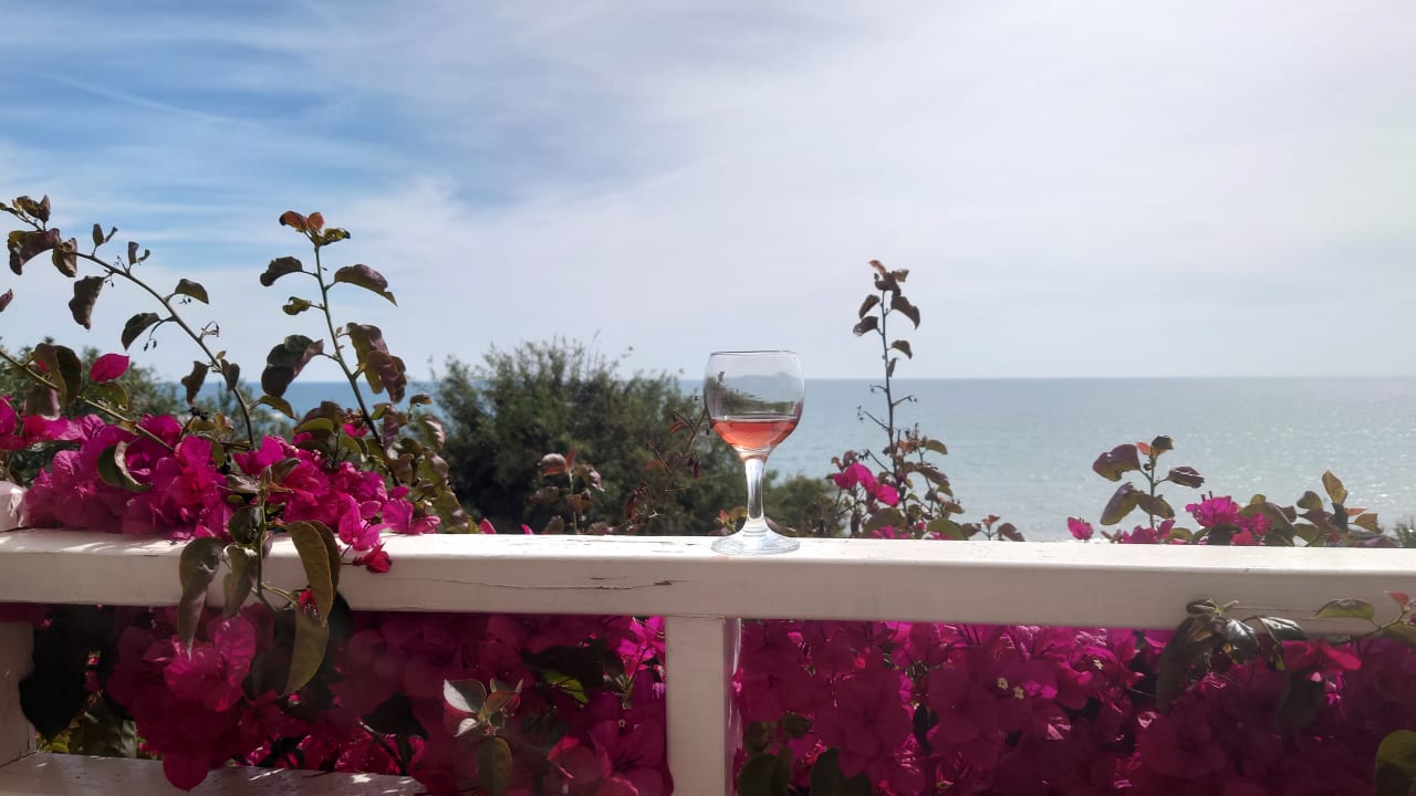 Ausblick Can Garden Resort