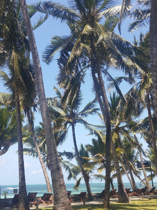 Blick Richtung Hotelstrand Hotel Traveller's Club