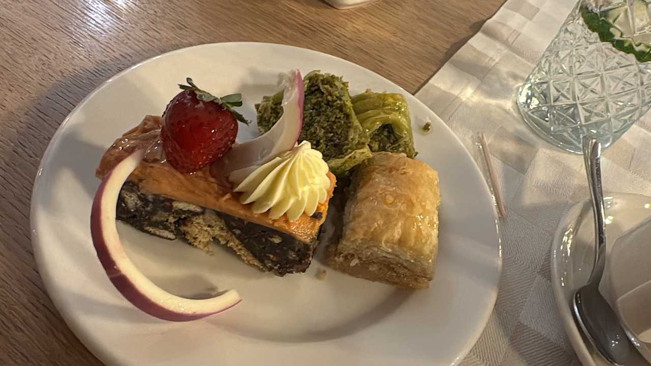 Gastro Seashell Vega