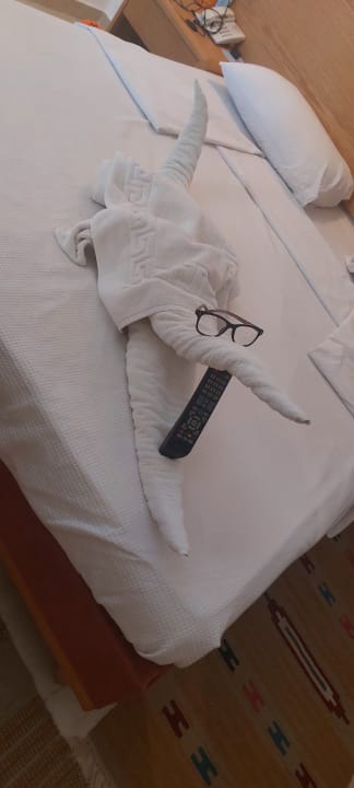 Zimmer Menaville Safaga