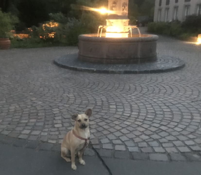 Gartenanlage Hotel Molitors Mühle