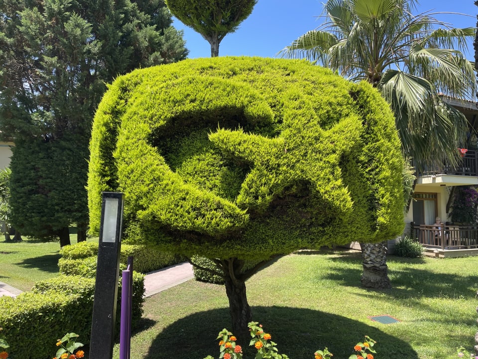 Gartenanlage TUI KIDS CLUB Felicia Village