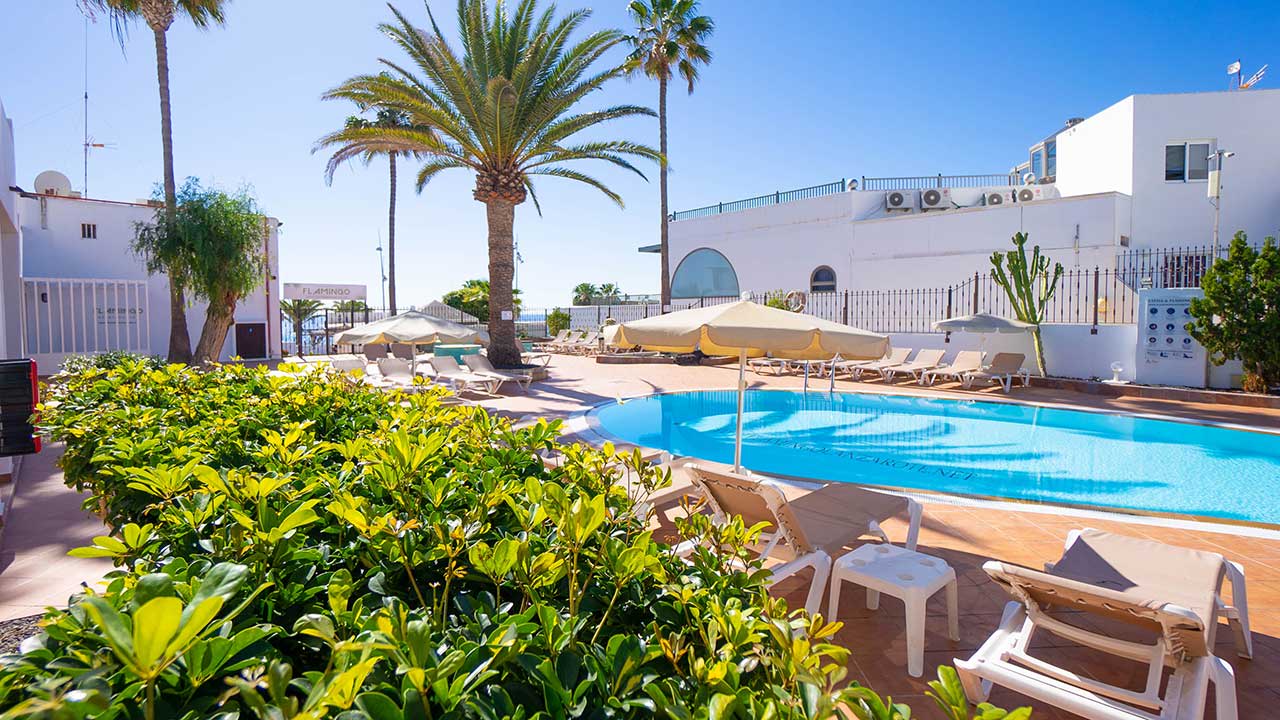 Pool Apartamentos Flamingo