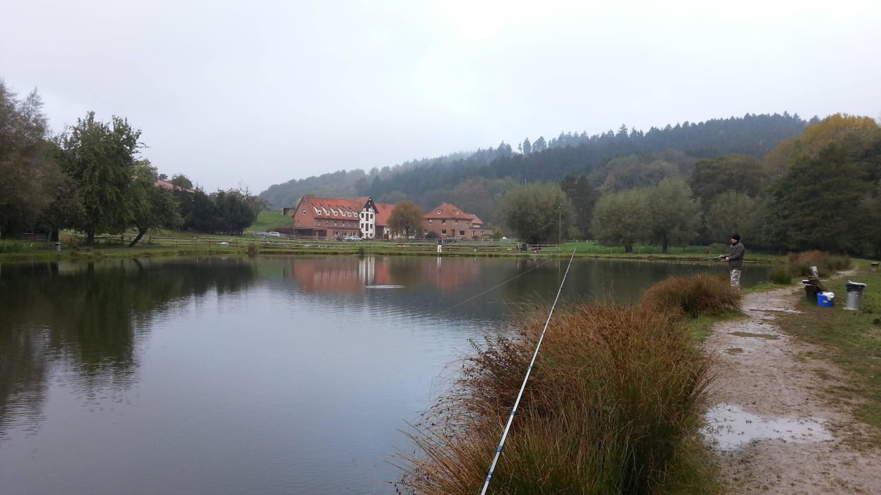 Großer Angelteich Blickrichtung Obermühle Pension Obermühle Beine