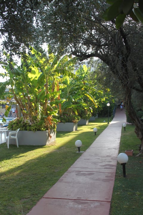 Alejka przy basenie Hotel Golden Odyssey