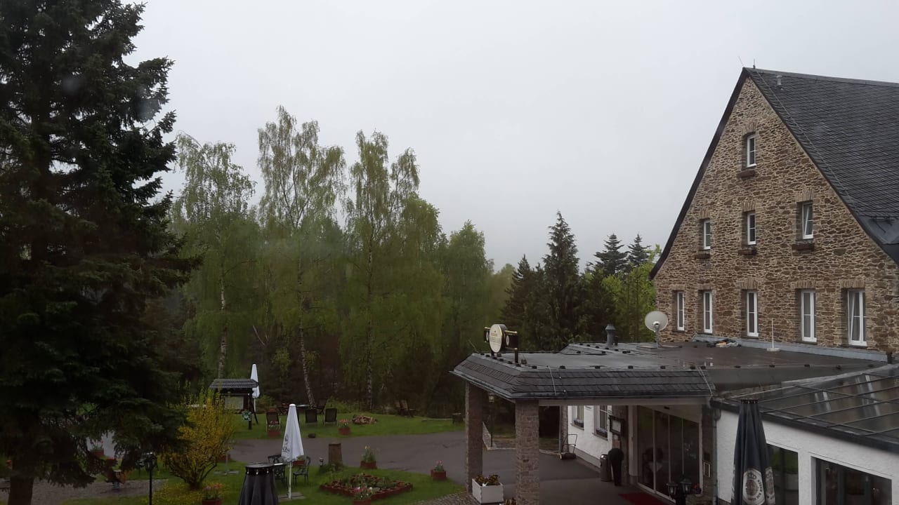 Blick aus dem Fenster Sonnenhotel Hoher Hahn