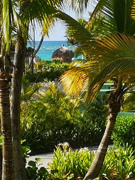 Gartenanlage Hotel Grand Palladium Palace Resort, Spa & Casino