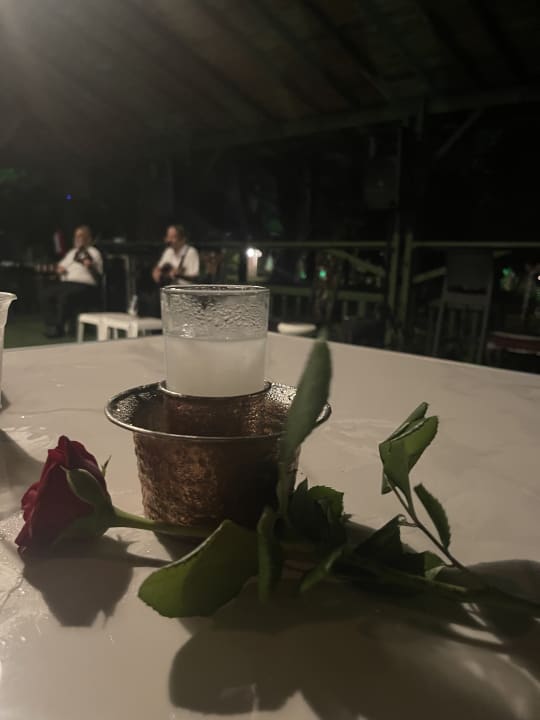 Gastro Hotel Botanik Platinum