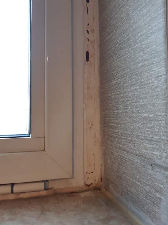 Zimmer Kamelya Aishen Club