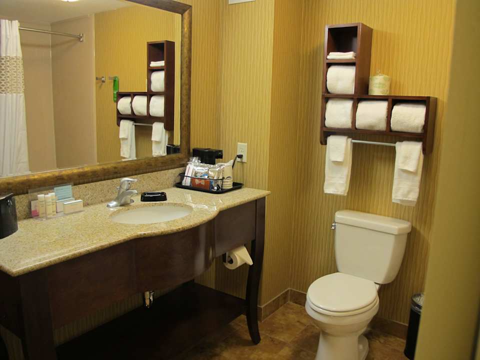 WC Hotel Hampton Inn Deming