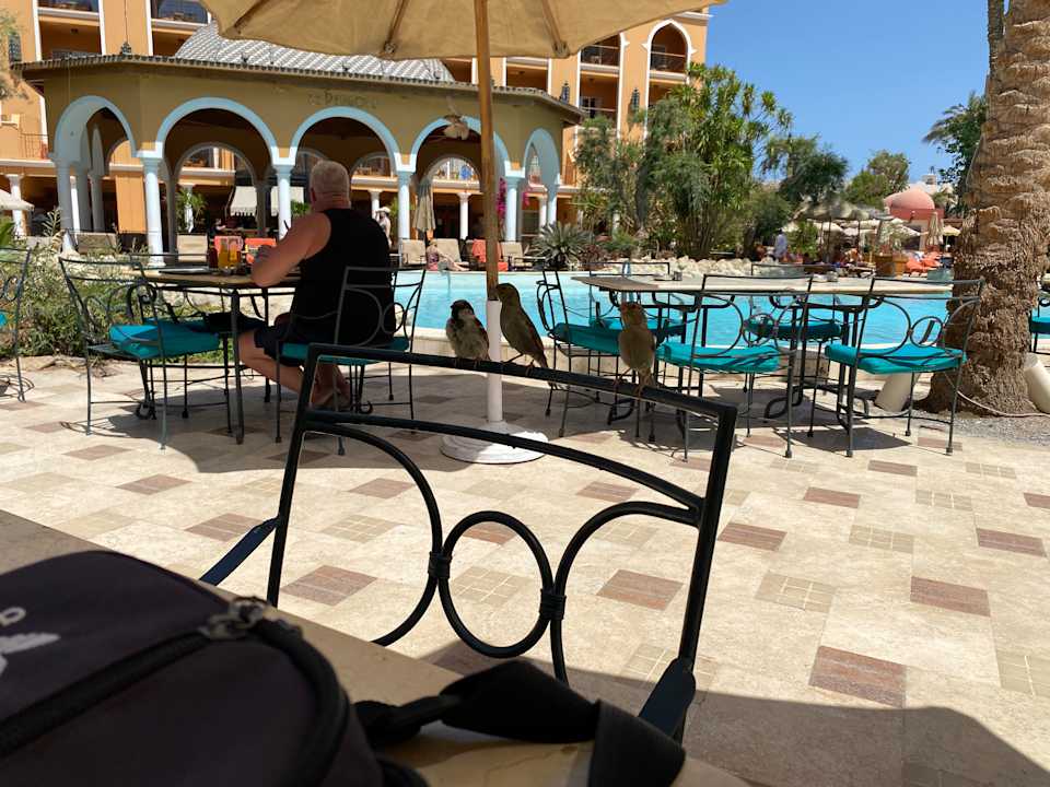 Pool The Grand Resort