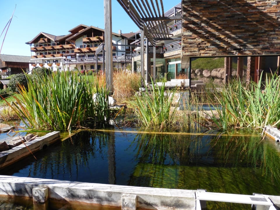 Blick vom Saunabereich Valentinerhof vita vital hotel