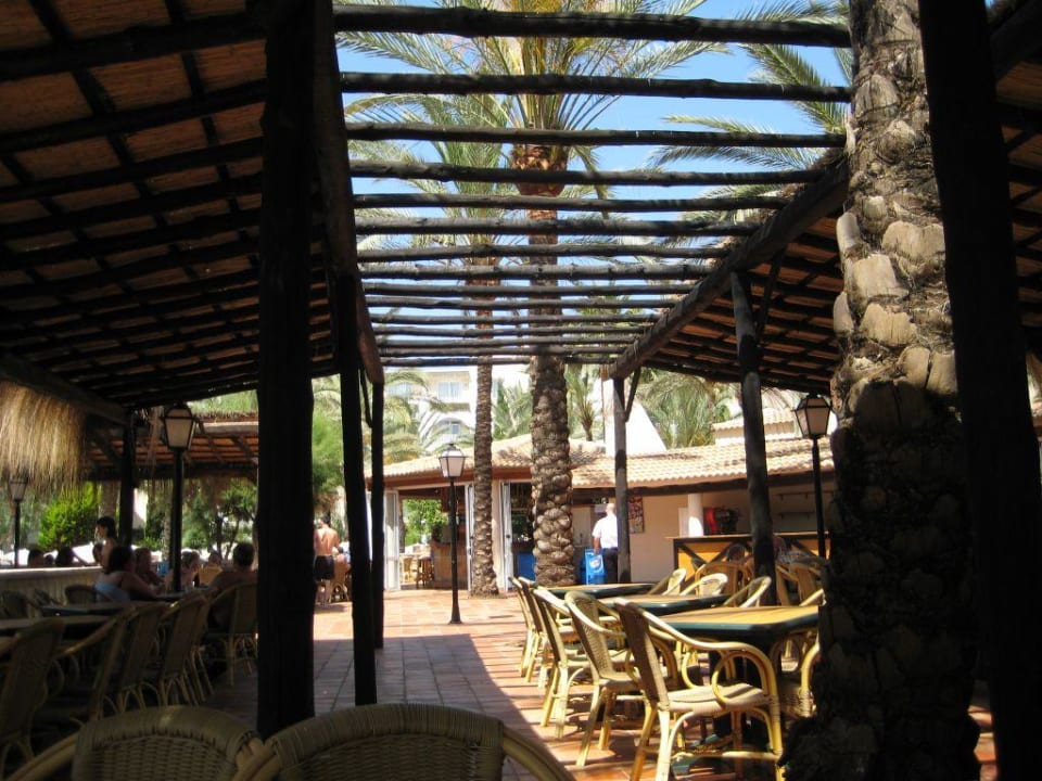 Poolbar Protur Safari Park Aparthotel