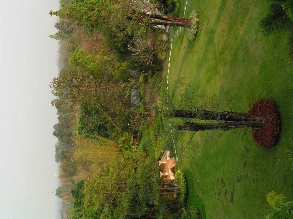 Blick in den Garten vom Esszimmer der Sanctuary Suite Hotel Jirung Health Resort