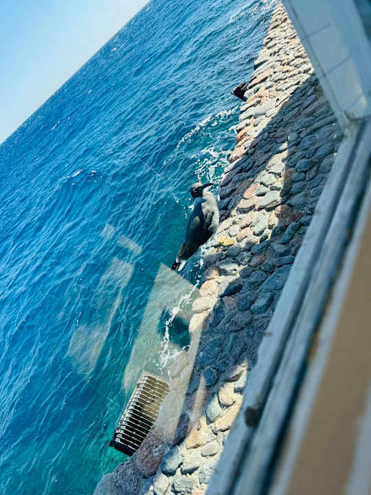 Gastro Arabella Azur Resort