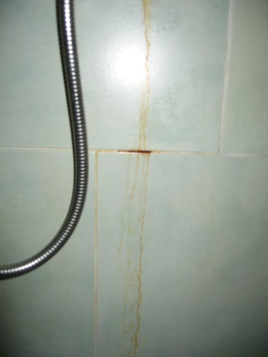 Dusche Jaz Makadina