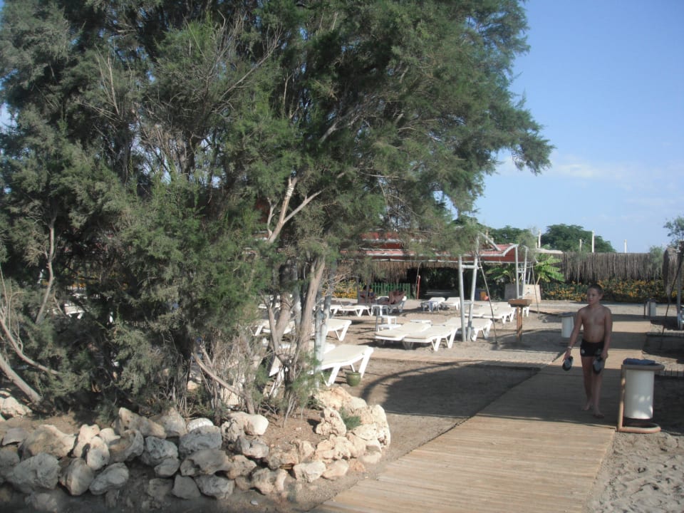 Strand Crystal Paraiso Aqua Collection