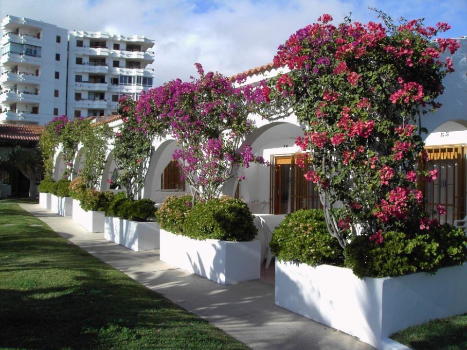 Reihenbungalow  HL Miraflor Suites Hotel