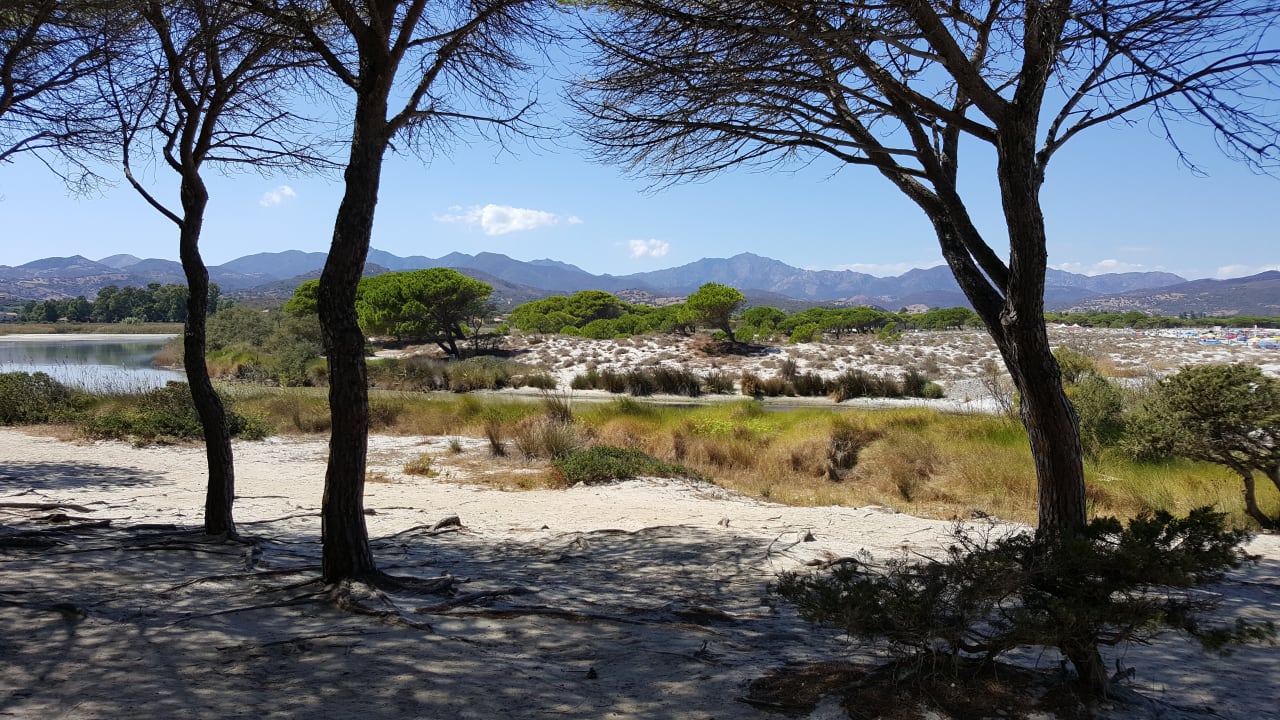 Strand Sardafit Nr. 177/12 - Pool-Bungalow im Gallo di Gallura