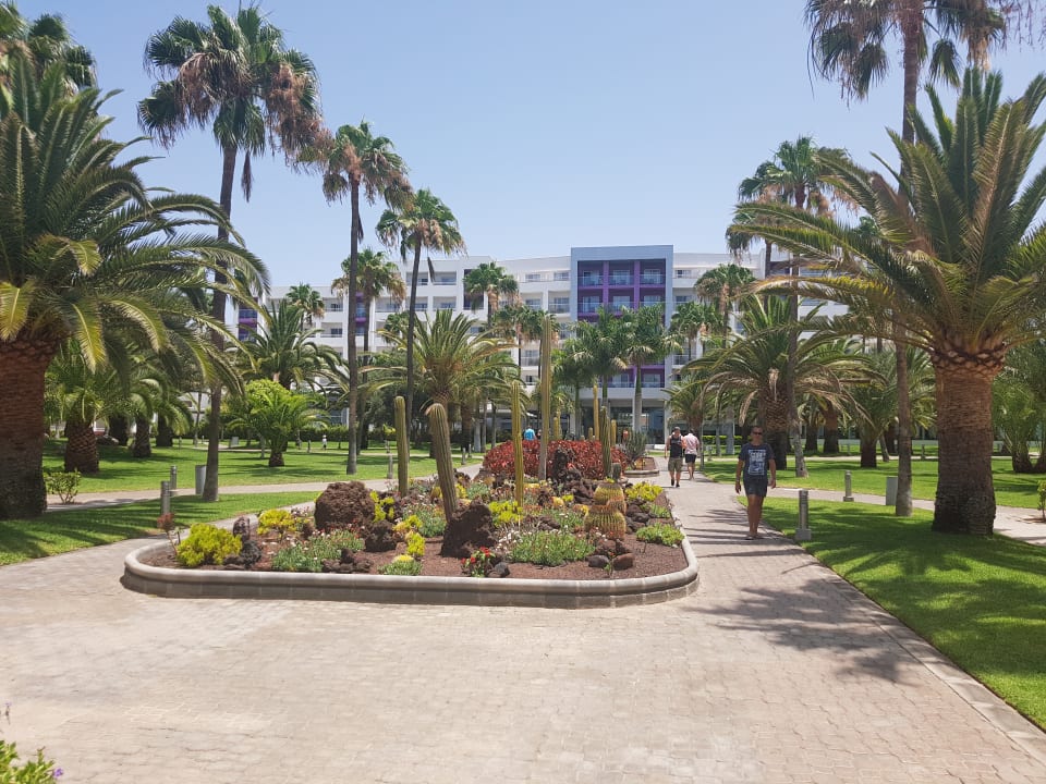 Gartenanlage Hotel Riu Gran Canaria