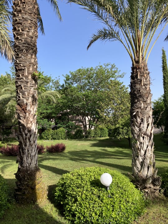 Gartenanlage Starlight Resort Hotel