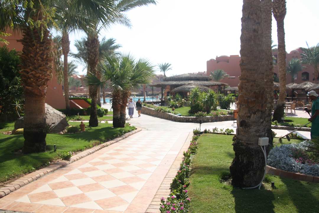 Garten Jaz Makadi Oasis Resort