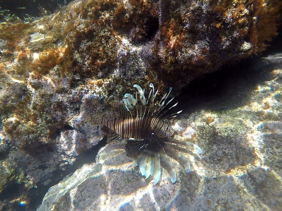 Sport & Freizeit Kakkos Beach Hotel