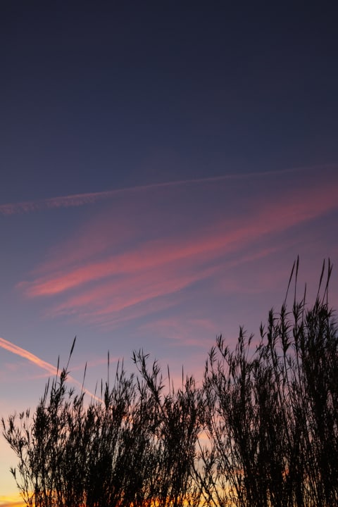 Ausblick Club Hotel Li Suari
