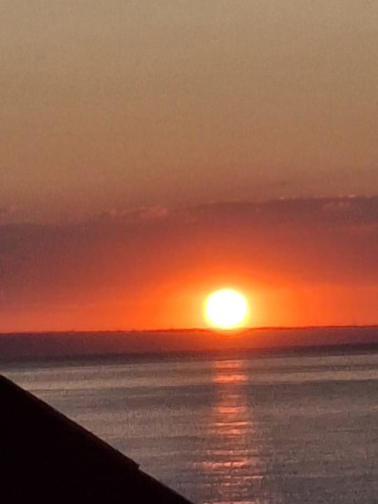 Ausblick GRIFID Vistamar