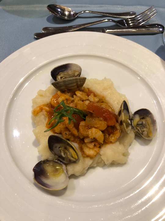 Gastro Acanthus Cennet Barut Collection