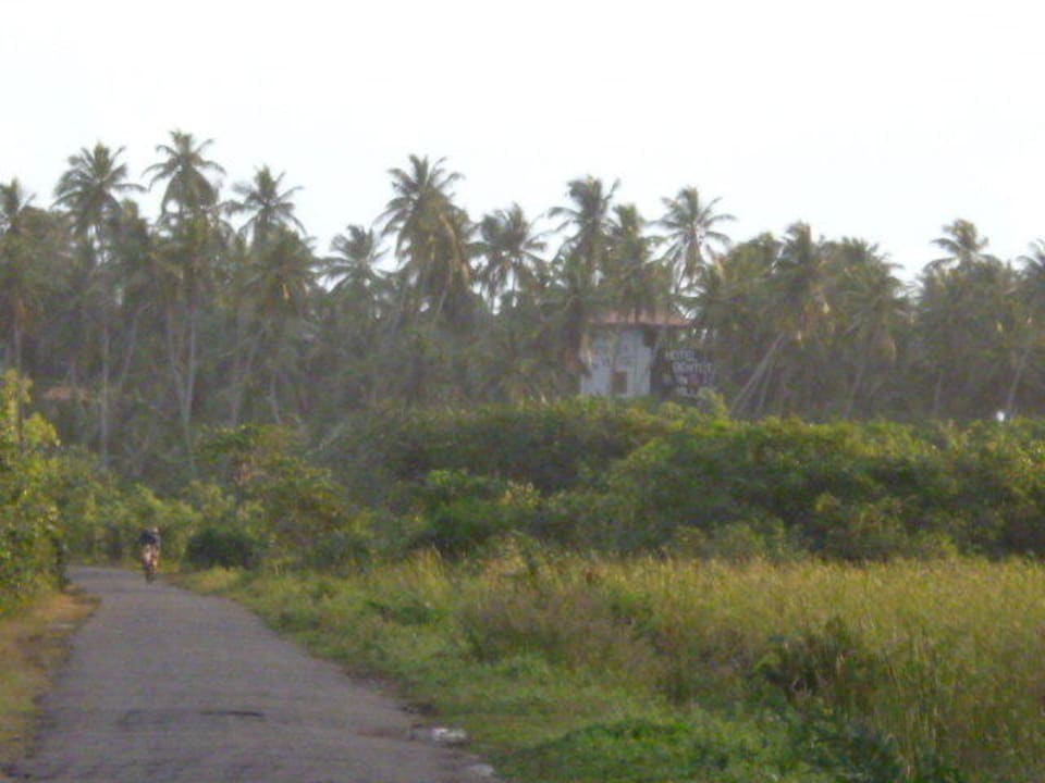 Perfekter Spazierweg neben dem Hotel Hotel Bentota Village