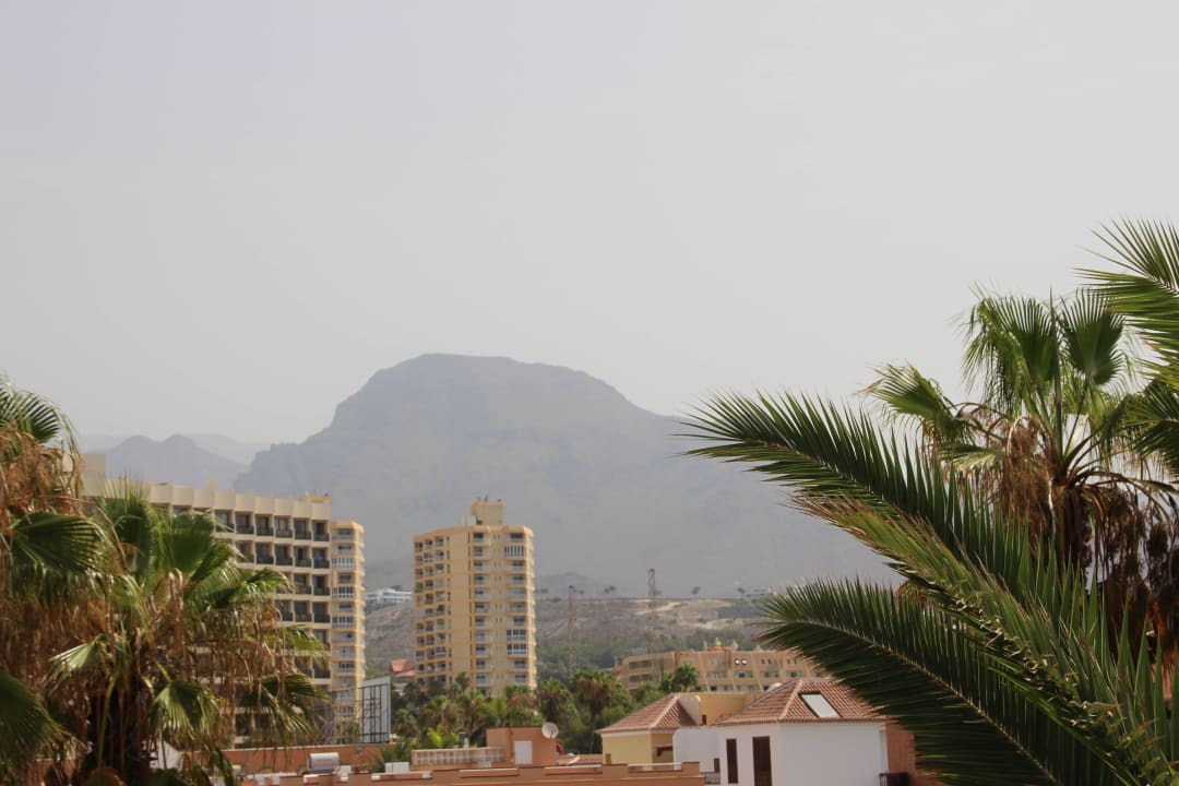Hôtel H10 Las Palmeras - La Vue 2015 H10 Las Palmeras