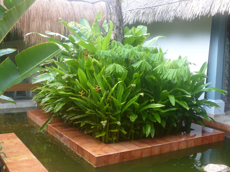 In der Anlage Iberostar Waves Tucan