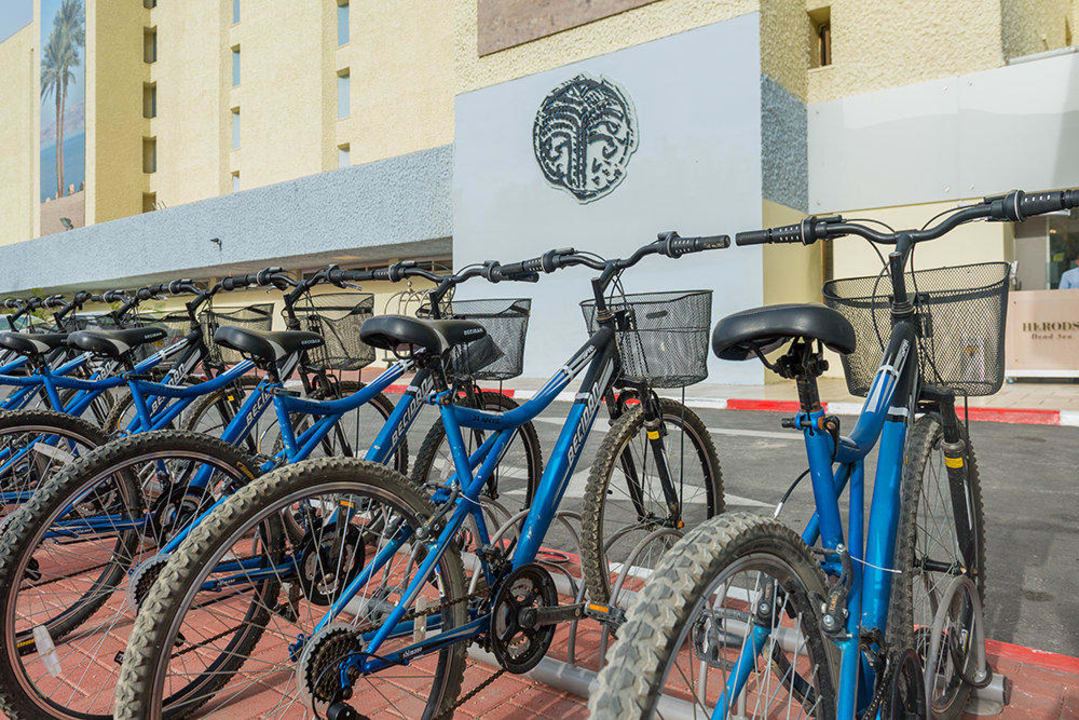 Bike rental Herods Dead Sea – A Premium Collection by Leonardo Hotels