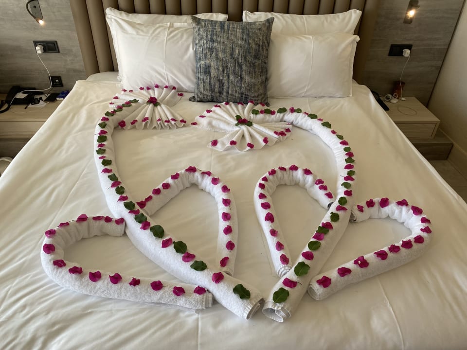 Zimmer Liu Resorts