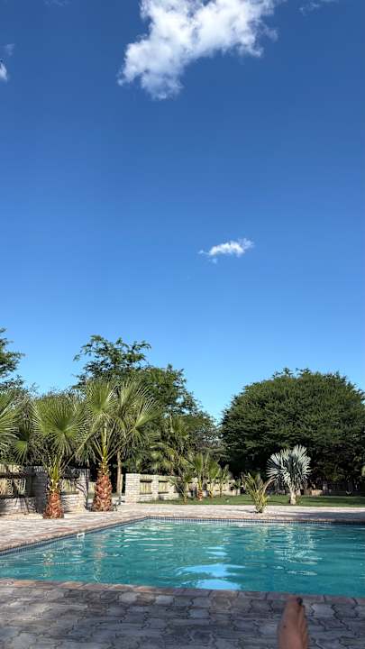 Pool Palm Afrique Lodge