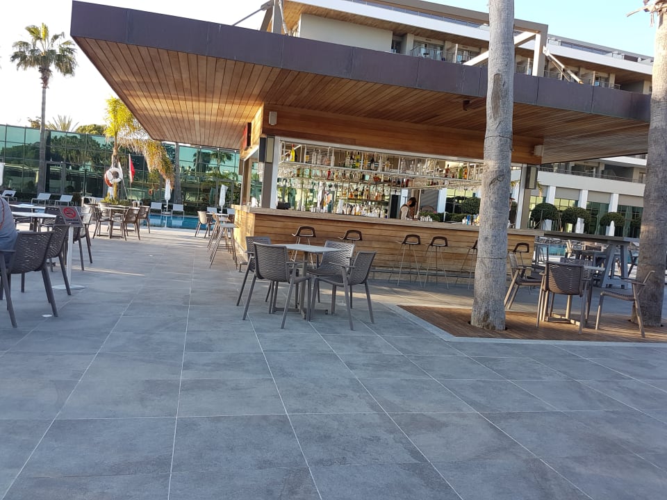 Gastro Acanthus Cennet Barut Collection