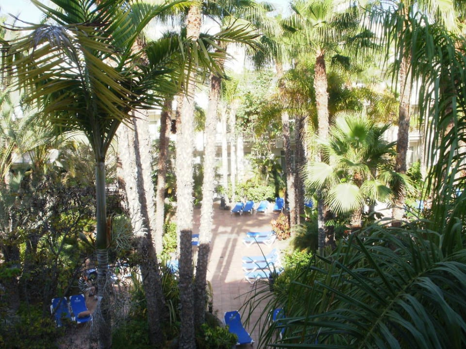 Ist das ein Ausblick Tabaiba Princess