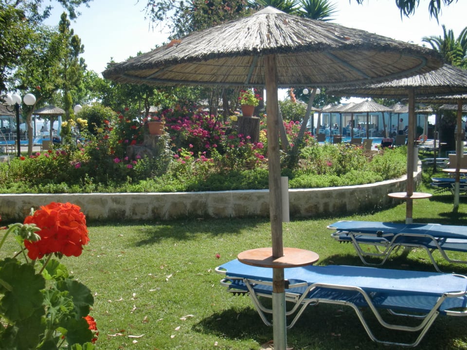 Pool-& Restaurantbereich Corissia Beach Hotel