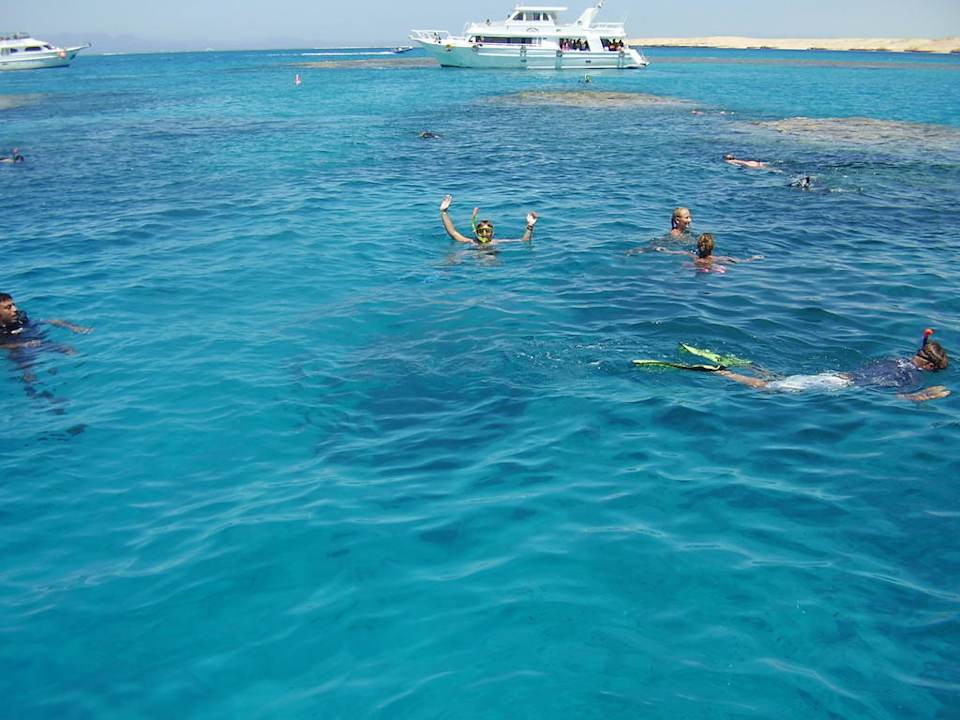 Nurkowanie opodal hotelu Sultan Gardens Resort