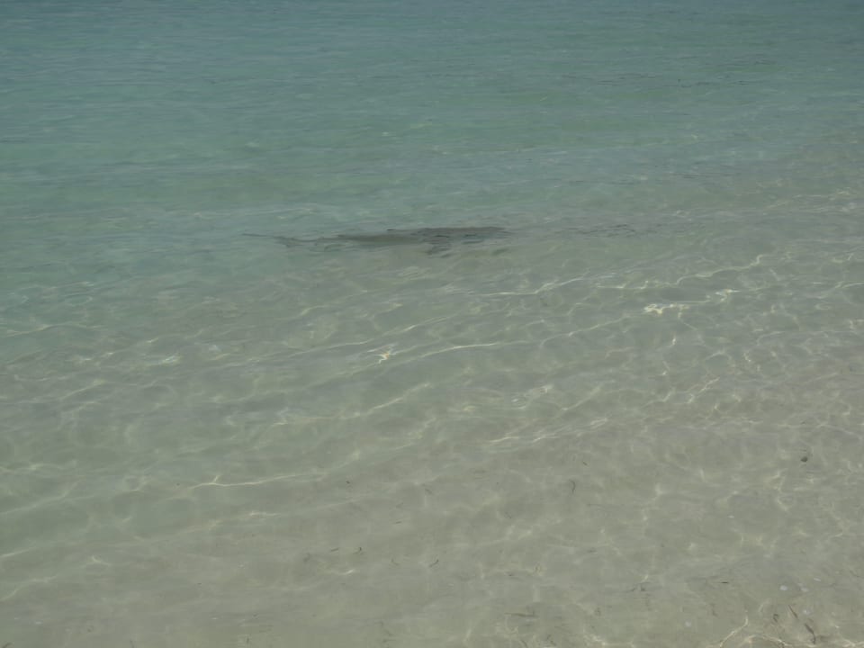 Strand Meeru Maldives Resort Island