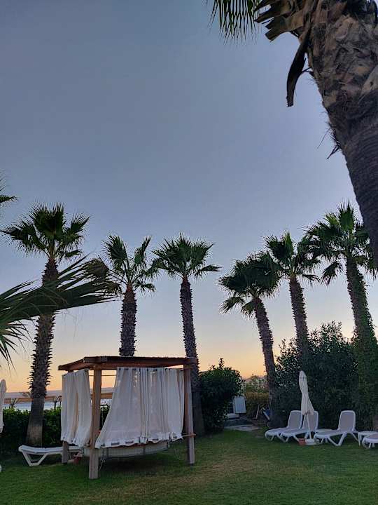 Gartenanlage Saturn Palace Resort Hotel