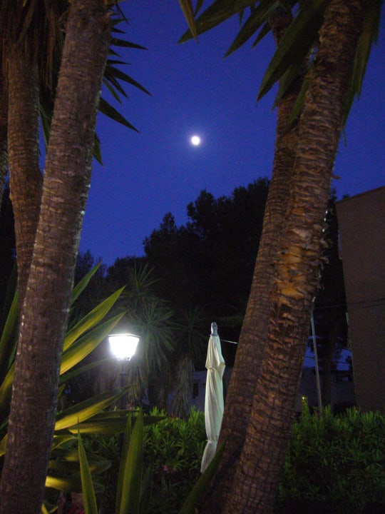 Abendstimmung im Garten der Villa Clombus Villa Columbus Rooms and Restaurant