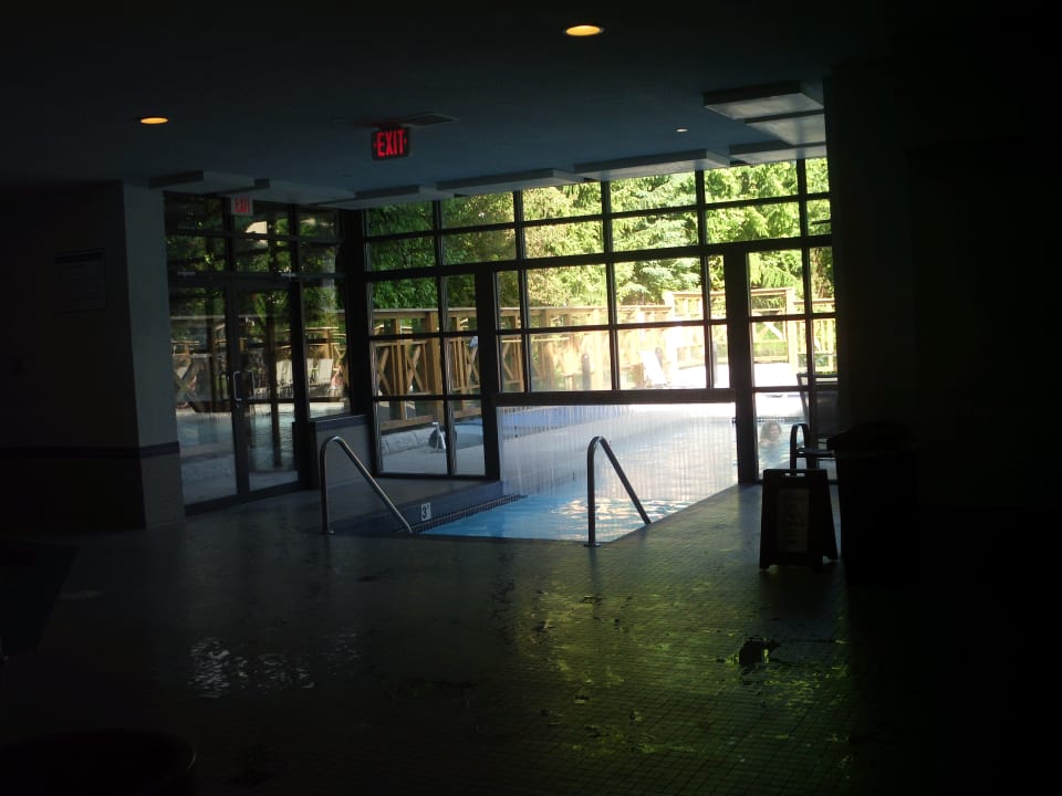 Pool Hotel Delta Whistler Village Suites