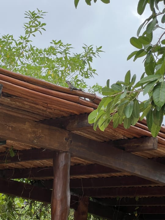 Gartenanlage Secrets Akumal Riviera Maya - Adults only