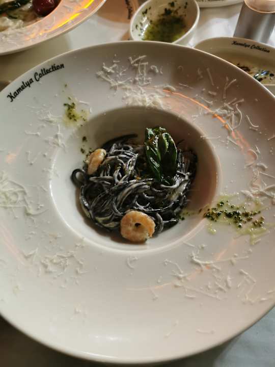Gastro Kamelya Aishen Club