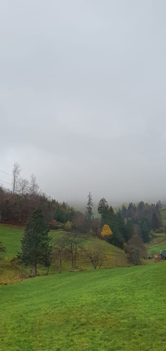 Außenansicht Naturparkhotel Grüner Baum